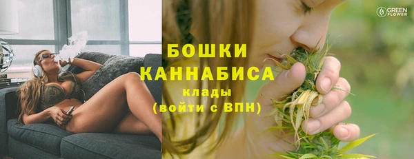 прущие грибы Бородино