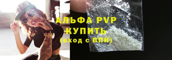 прущие грибы Бородино