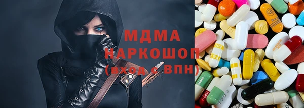 прущие грибы Бородино