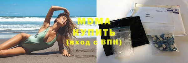 прущие грибы Бородино
