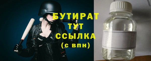 прущие грибы Бородино