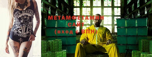 прущие грибы Бородино