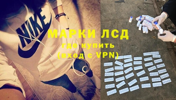 прущие грибы Бородино