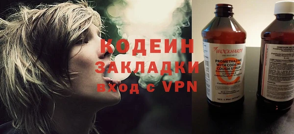 прущие грибы Бородино