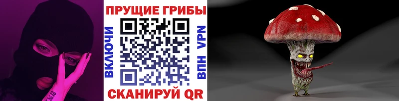 Галлюциногенные грибы Psilocybine cubensis  Горняк 