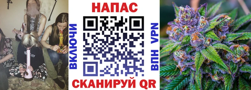 Шишки марихуана конопля  где купить наркоту  Горняк 